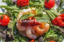 Claude BIGEON - Claude Bigeon