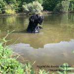 BIGNOLAIS PASCAL - STUDIO NOMADE